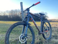 Kellys Spider 50