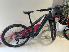 Levit Negulo (Twilight)