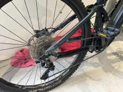 Levit Negulo (Twilight)