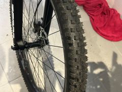 Levit Negulo (Twilight)