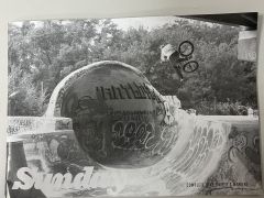 BMX Sunday Primer LTD