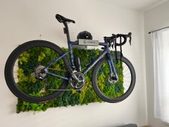 Specialized Tarmac- SL 6, vel.54