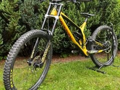 Kellys Noid 90 2022  L Mullet