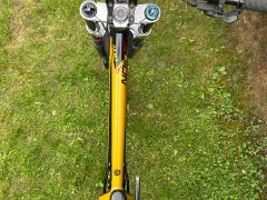 Kellys Noid 90 2022  L Mullet