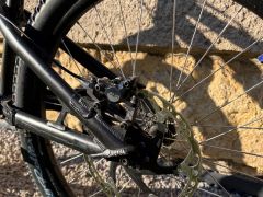 Czar Ion / Street trial