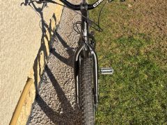 Czar Ion / Street trial