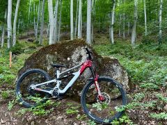 YT decoy SN core 3 MX size L.