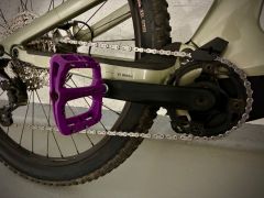 Canyon Neuron: ON Fly