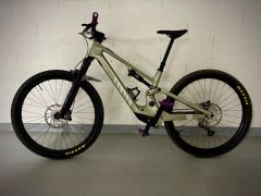 Canyon Neuron: ON Fly