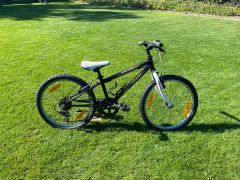 Author energy 20" detský