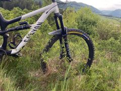 Canyon Spectral 29 A6