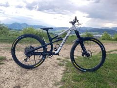 Canyon Spectral 29 A6