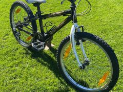 Author energy 20" detský