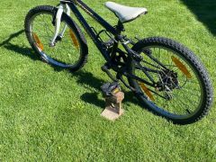 Author energy 20" detský