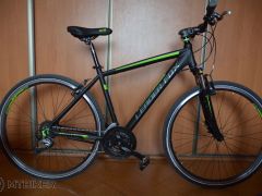 Leader fox Daft edition