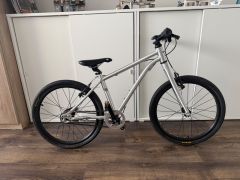 Early Rider 20