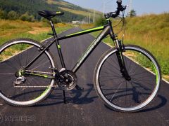 Leader fox Daft edition