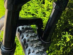 Focus Raven 8.8 Carbon XL