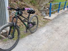 Dartmoor Blackbird 29 L