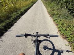 Cube Attention SL 2022