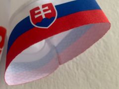 Krátky Dres Santini