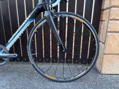 Bergamont Dolce LTD 59