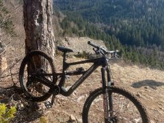 Nukeproof mega Carbon 2023