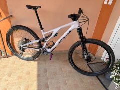 Specialized Stumpjumper Evo 29 karbon