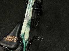 Specialized P1 trail