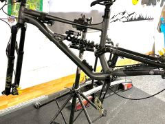 Specialized status 160