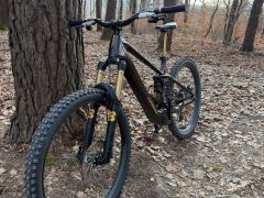 Orbea Wild M-Team s.L