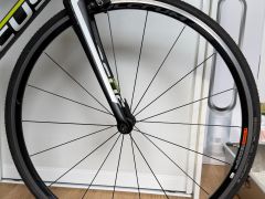 Focus Izalco Max Carbon 105 / Fulcrum / karbón / 2016