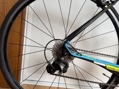Focus Izalco Max Carbon 105 / Fulcrum / karbón / 2016
