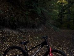 Propain trickshot 2 custom