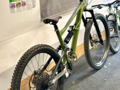 Specialized status 160
