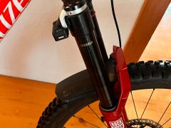 Specialized demo race /novy