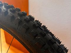 Specialized demo race /novy