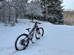 YT decoy SN core 3 MX size L.