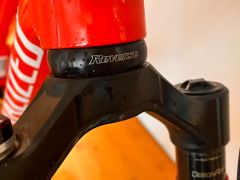 Specialized demo race /novy