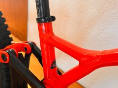 Specialized demo race /novy