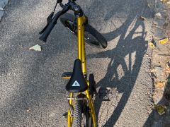 Rascal 16 Gold ľahký detský bicykel