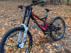 Downhill Specialized Demo 8 Carbon