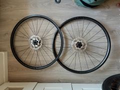 Bontager paradigm sl
