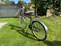 Schwinn Cruiser Classic