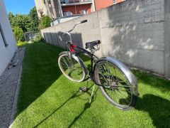 Schwinn Cruiser Classic