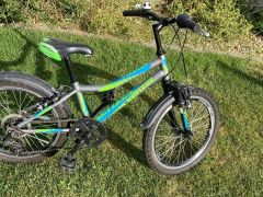 20" detsky bicykel Kenzel Roxis