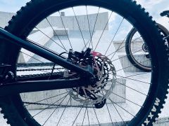 Focus JAM 8.8 Carbon