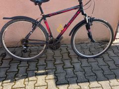 Kellys alpina Eco 20