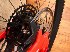 Specialized demo race /novy