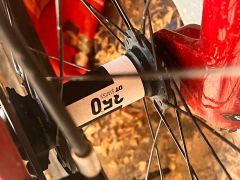 Specialized demo race /novy